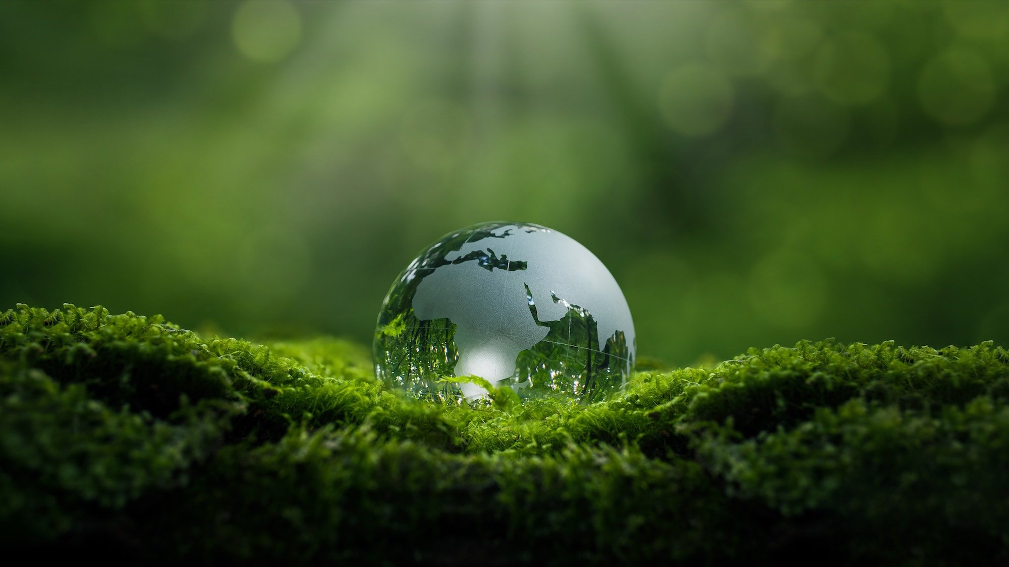 Glass globe on moss representing a global and sustainable outlook